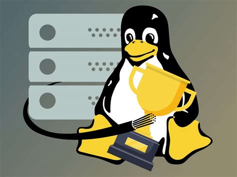 best linux distro for a server|5 Best Linux Distro Releases for Servers in 2022: Our .